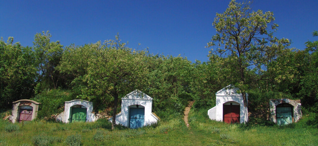 Valea Ierului - Pivnițe de vin